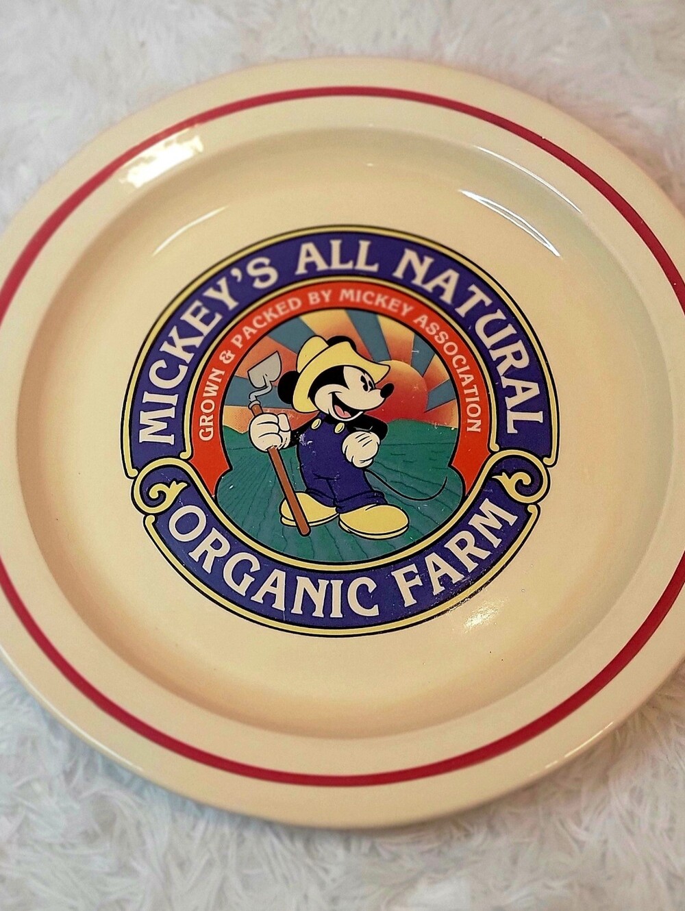 Disney's Mickey Organic Farm Ceramic Serving Plate - 13.5"